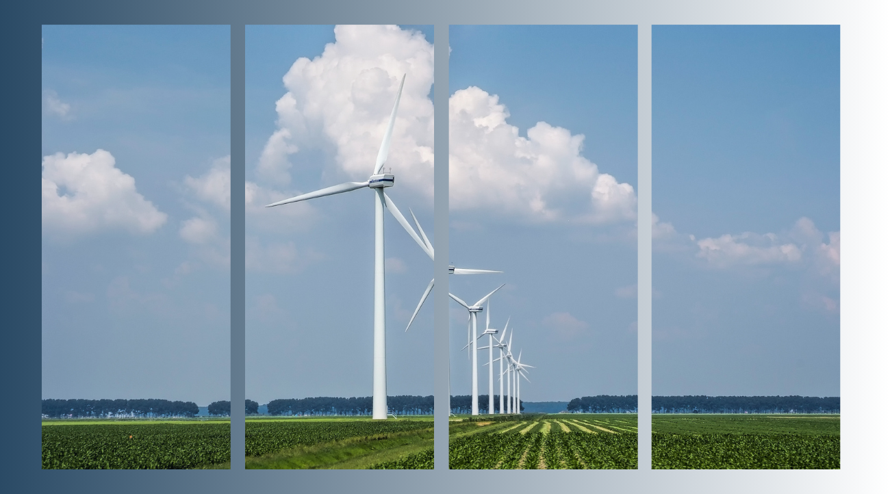TURBINE
EOLICHE
E TERRENI